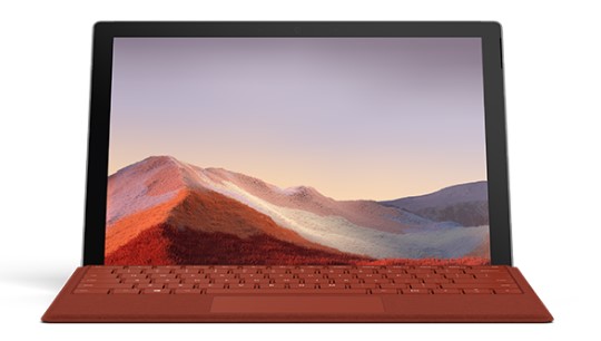 枞阳Surface Go